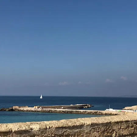 Calliope * 加利波利