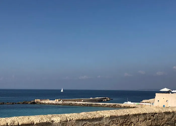 Calliope * Gallipoli